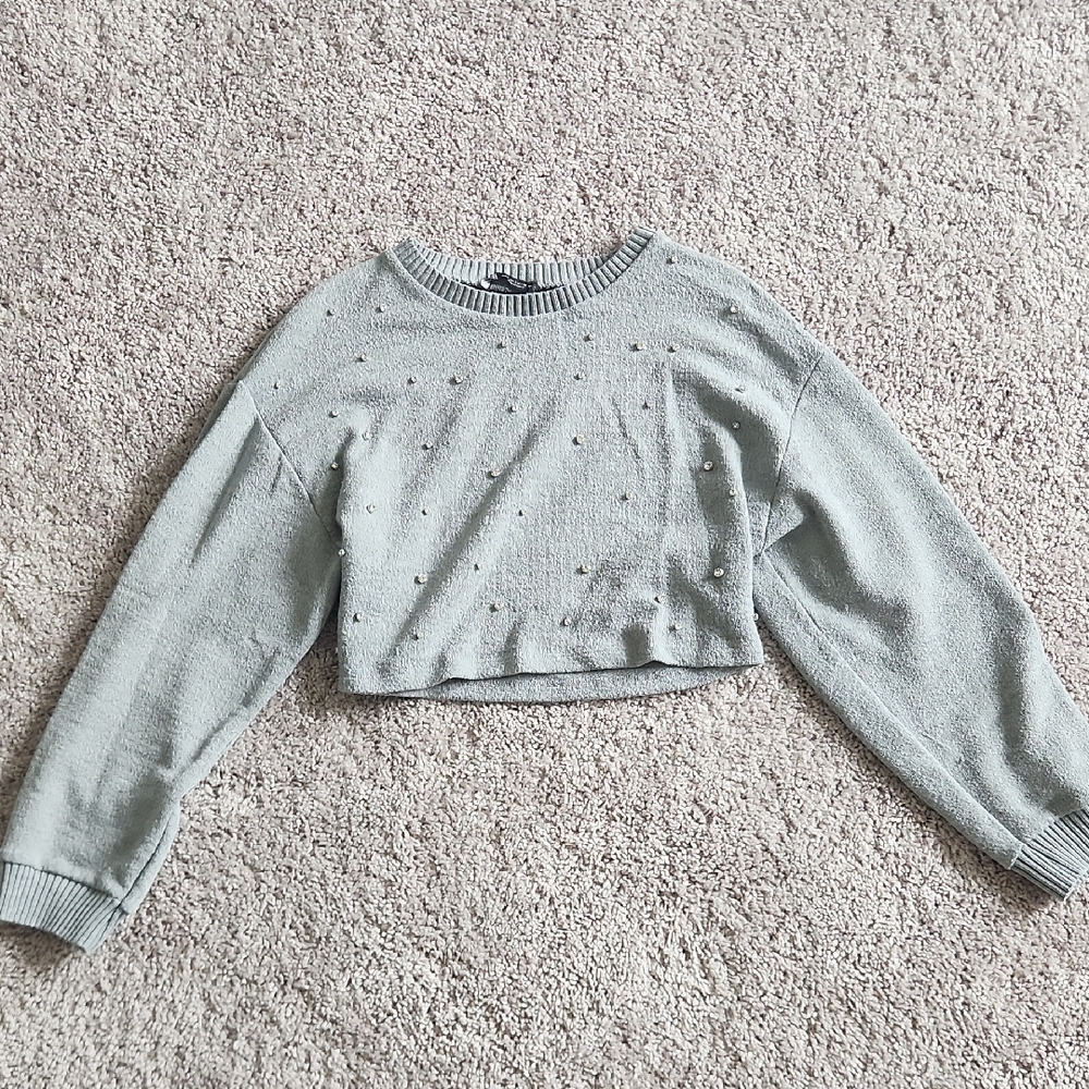 Zara Gray embellished Cropped Sweatshirt